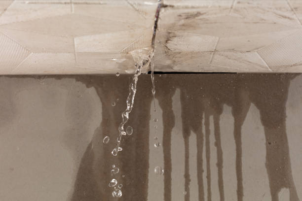 Professional Water Extraction technician working in Dennison, MN